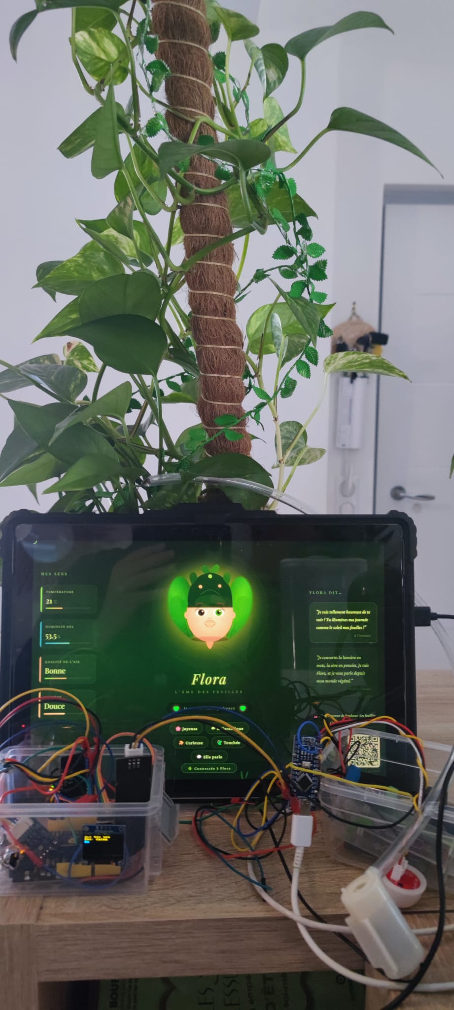 Dispositif Flora